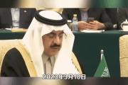 开元棋牌-包含一击定胜负！沙特选手实力无敌的词条