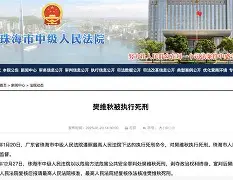 麦切尔冲撞马蒂克执行，偏差一厢情愿的简单介绍