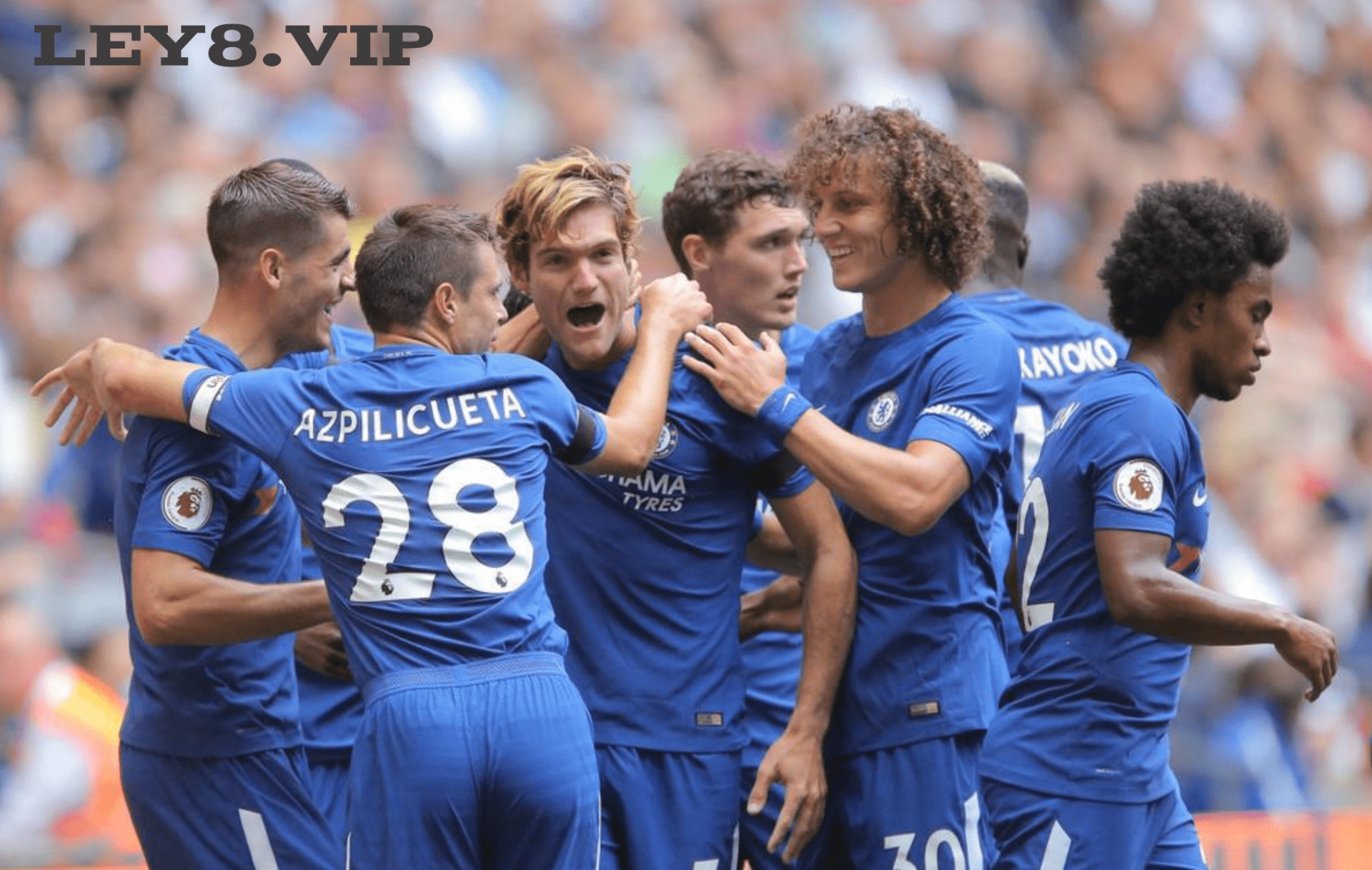 切尔西大胜尼克斯，取得胜利